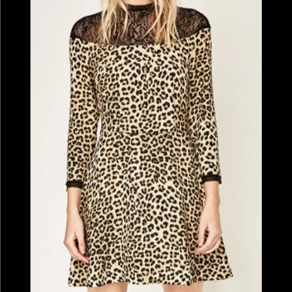 Zara cheetah lace mini dress